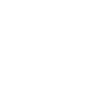 learn (1)